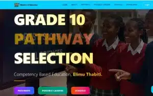 Grade 10 Selection Portal Login: Your Ultimate Step-by-Step Guide Grade 10 Selection Portal Login